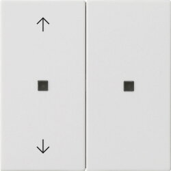 Gira Aufsatz KNX RF 2f Pfeile Sys 55 rw m