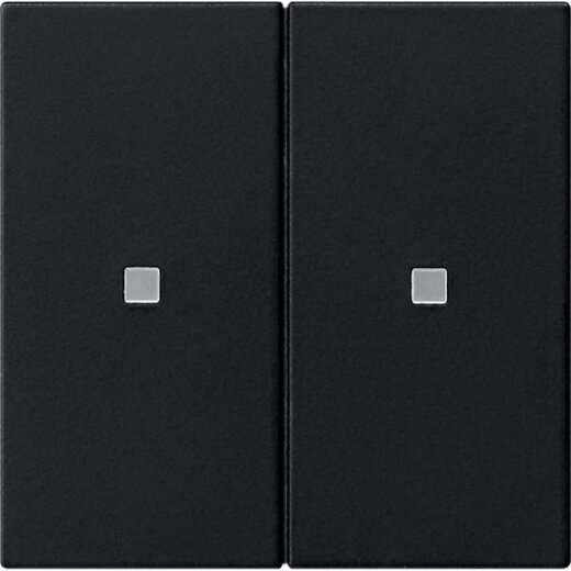 Gira Aufsatz KNX RF 2f Sys 55 sw m