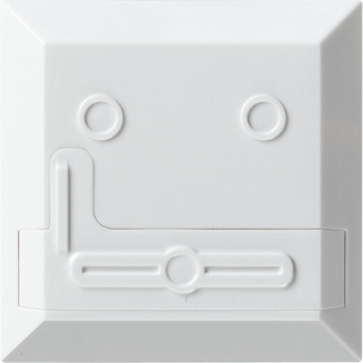 Gira Montageplatte 527200 Beweg.m. Alarm Connect