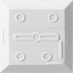 Gira Montageplatte 527300 Glasbruchm. AP Alarm Connect