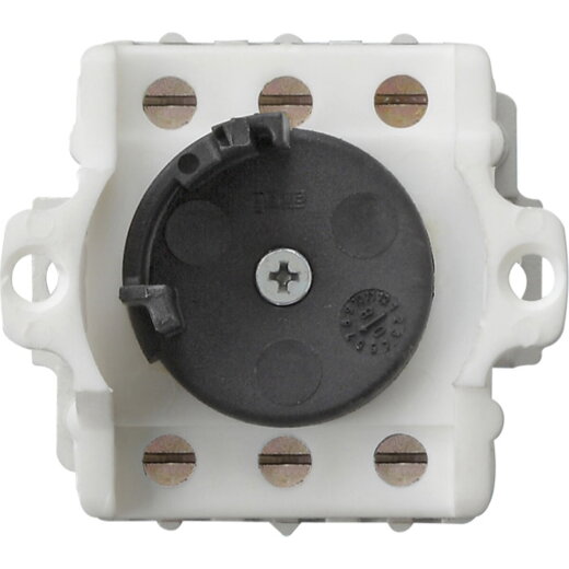 Gira Einsatz 143400 Schlüsselsch. 2pol WG AP