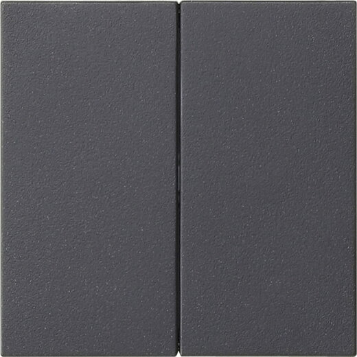 Gira Aufsatz 536228 S3000 2f System 55 anthrazit