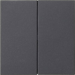 Gira Aufsatz 536228 S3000 2f System 55 anthrazit