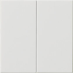 Gira Aufsatz 536203 S3000 2f System 55 reinweiß