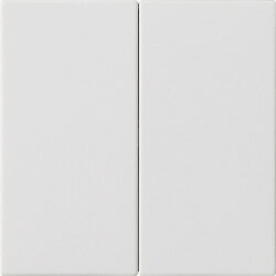 Gira Aufsatz 536227 S3000 2f System 55 reinweiß