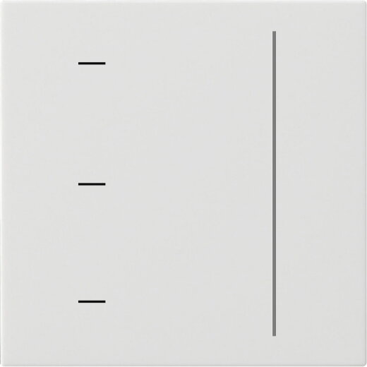 Gira Aufsatz 536527 S3000 System 55 reinweiß m