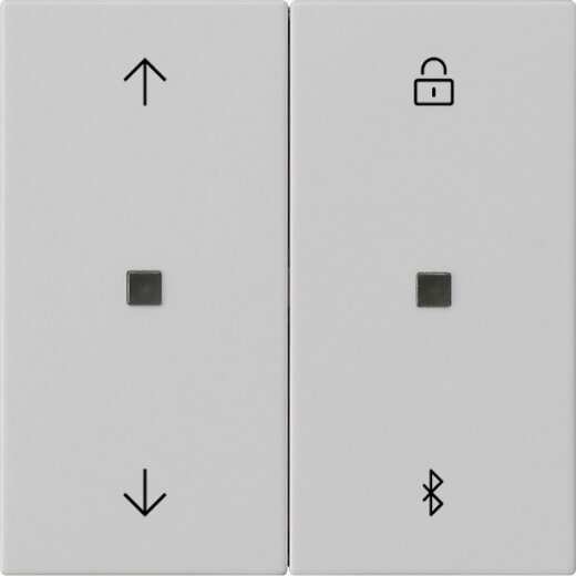 Gira Jalousieschaltuhr 5367015 S3000 BT Sys 55 grau