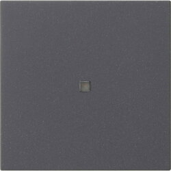 Gira Aufsatz S3000 BT System 55 Anthrazit