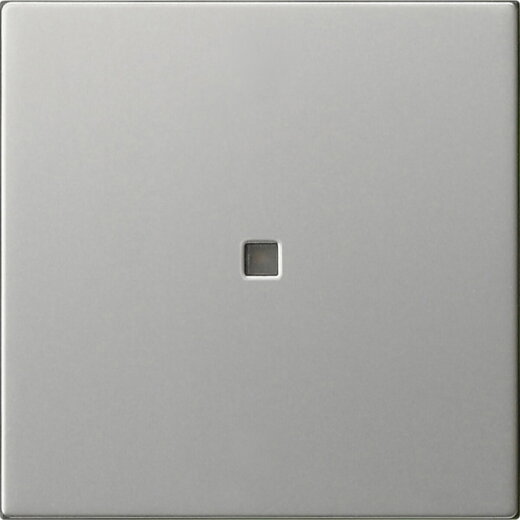 Gira Aufsatz S3000 BT System 55 Edelstahl