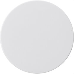 Gira Knopf 0910112 Fläche reinweiss