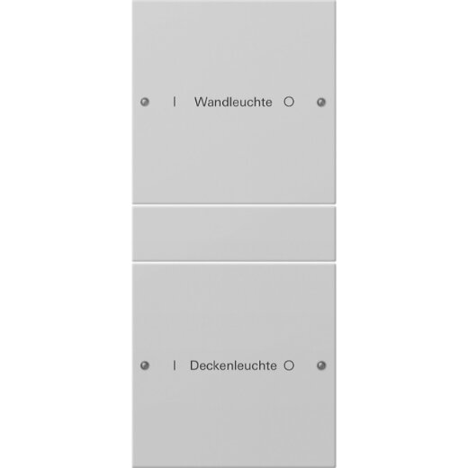 Gira Wippe 2202015 2f (1+1) beschr. Sys55 gr(lack.)