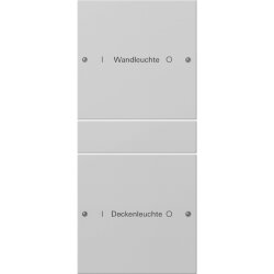 Gira Wippe 2202015 2f (1+1) beschr. Sys55 gr(lack.)