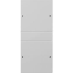 Gira Wippe 2182015 2f (1+1) Sys 55 grau(lack.)