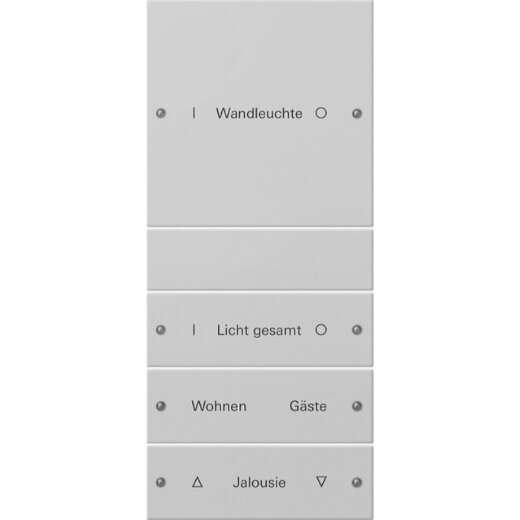 Gira Wippe 2204015 4f (1+3) beschr. Sys55 gr(lack.)