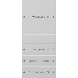 Gira Wippe 2204015 4f (1+3) beschr. Sys55 gr(lack.)