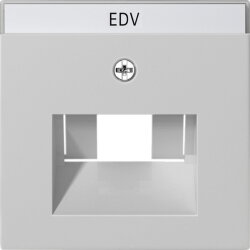 Gira Abdeckung 0284015 BSF UAE/IAE+Netzwerk Sys 55 grau