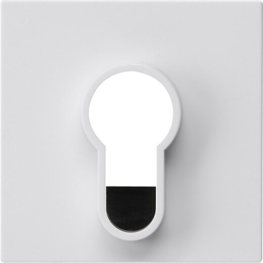 Gira Abdeckung 866403 Schlüsselschalter o.Aufd Sys55 rw