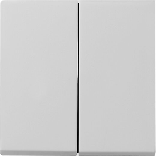 Gira Wippe 0295015 2f Sys 55 grau