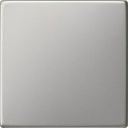Gira Wippe 0916600 Tastschalter Sys 55 Edelstahl