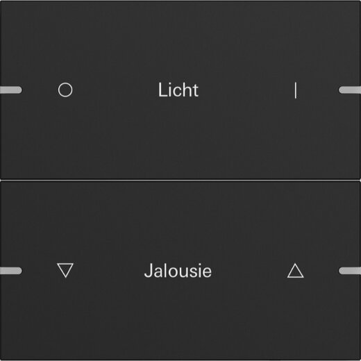 Gira Wippe 2f indiv. Tastsens.4 TS4 Schwarz