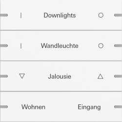 Gira Wippe 4f indiv. Tastsens.4 TS4 Reinweiß