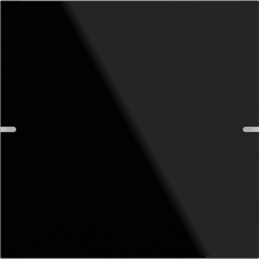 Gira Wippe 1f Tastsens.4 TS4 G Schwarz