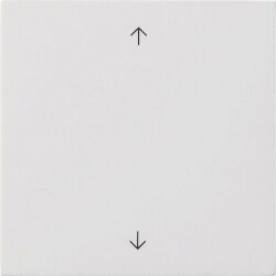 Gira Wippe 1f Pfeile Flächenschalter rw