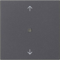 Gira Wippe 1f Pfeile Kontrollf. Sys 55 anthr.