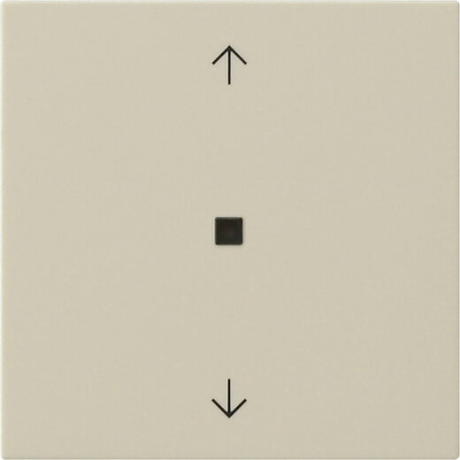 Gira Wippe 1f Pfeile Kontrollf. Sys 55 cw