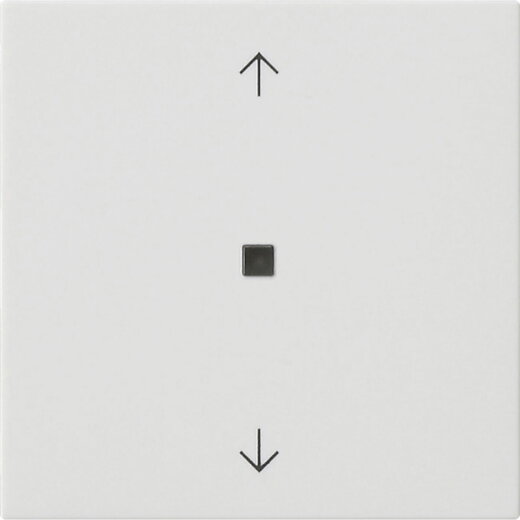 Gira Wippe 1f Pfeile Kontrollf. Sys 55 rw m