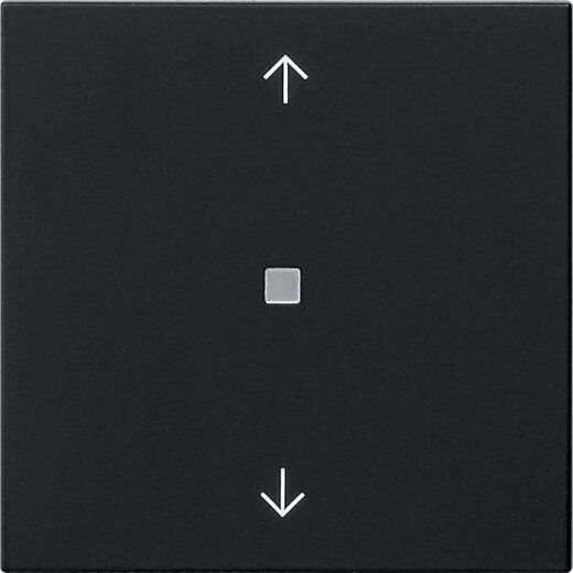 Gira Wippe 1f Pfeile Kontrollf. Sys 55 sw m