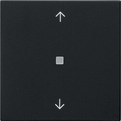 Gira Wippe 1f Pfeile Kontrollf. Sys 55 sw m