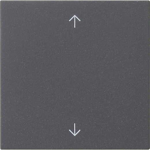 Gira Wippe 1f Pfeile Sys 55 anthr.