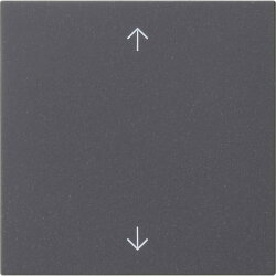 Gira Wippe 1f Pfeile Sys 55 anthr.