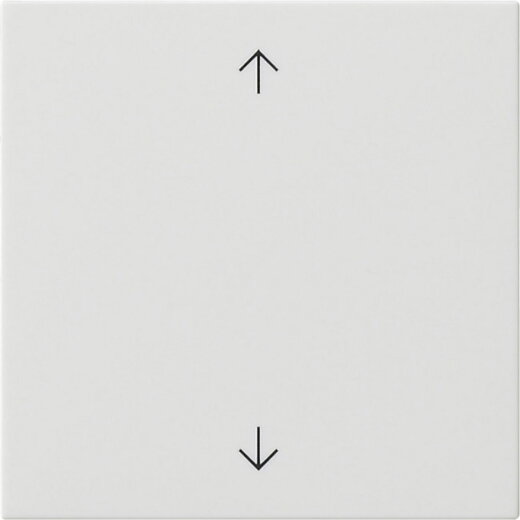 Gira Wippe 1f Pfeile Sys 55 rw