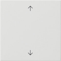 Gira Wippe 1f Pfeile Sys 55 rw