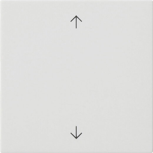 Gira Wippe 1f Pfeile Sys 55 rw m