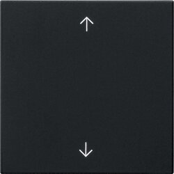 Gira Wippe 1f Pfeile Sys 55 sw m