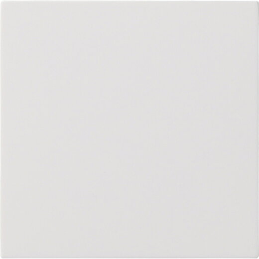 Gira Wippe 1f unbedruckt Flächenschalter rw