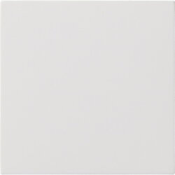 Gira Wippe 1f unbedruckt Flächenschalter rw