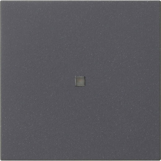 Gira Wippe 1f unbedruckt Kontrollf. Sys 55 anthr.