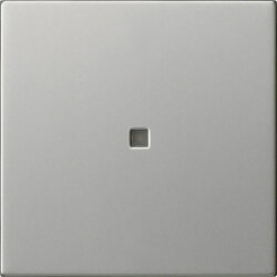 Gira Wippe 1f unbedruckt Kontrollf. Sys 55 es