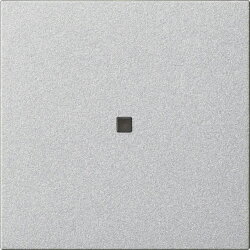 Gira Wippe 1f unbedruckt Kontrollf. Sys 55 F alu