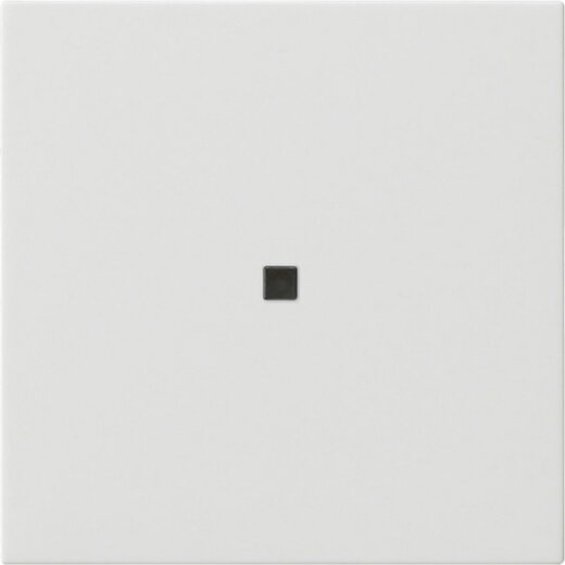 Gira Wippe 1f unbedruckt Kontrollf. Sys 55 rw