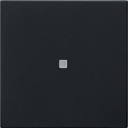 Gira Wippe 1f unbedruckt Kontrollf. Sys 55 sw m