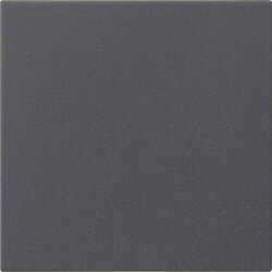 Gira Wippe 1f unbedruckt Sys 55 anthr.