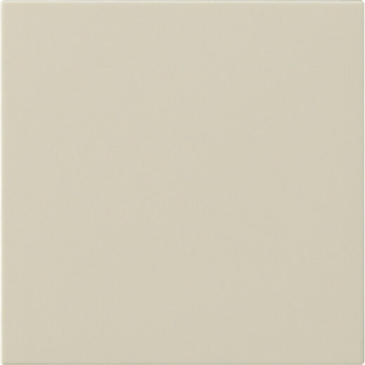 Gira Wippe 1f unbedruckt Sys 55 cw