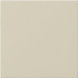 Gira Wippe 1f unbedruckt Sys 55 cw