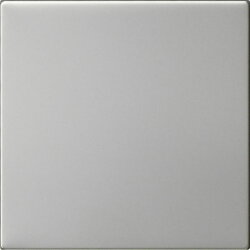 Gira Wippe 1f unbedruckt Sys 55 es