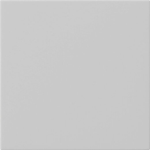 Gira Wippe 1f unbedruckt Sys 55 gr m